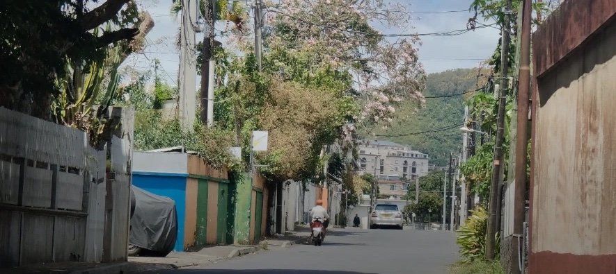 Quatre-Bornes : un atelier de peinture automobile empoisonne la rue Victoria, les habitants à bout