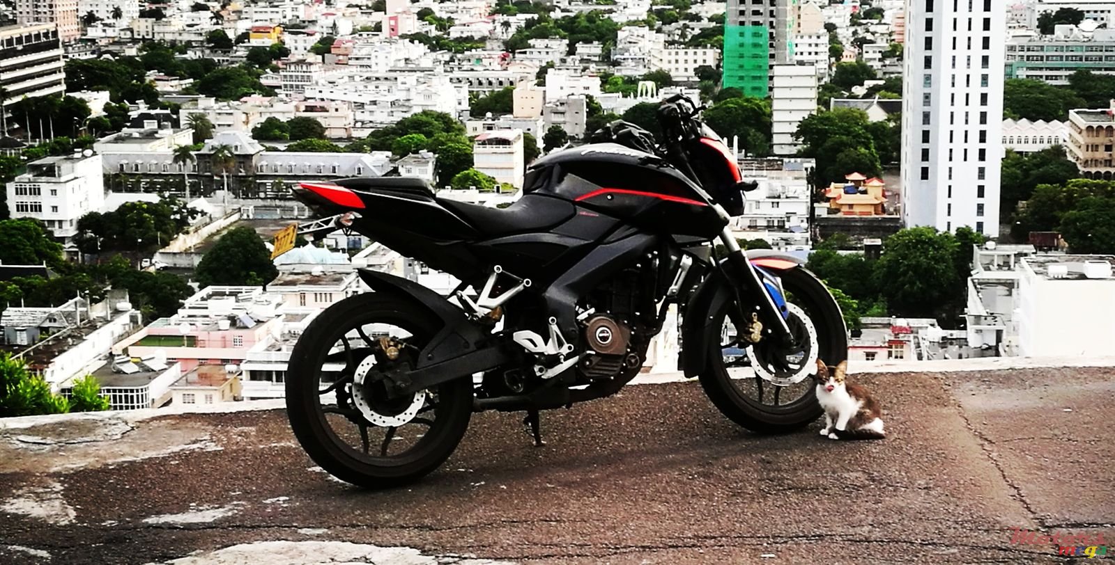 2014' Bajaj photo #1