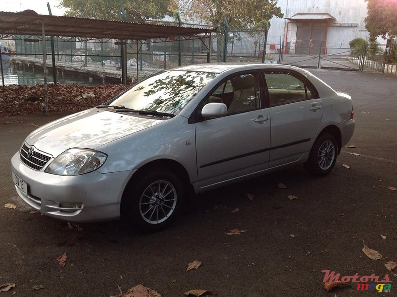 2003' Toyota Corolla photo #1