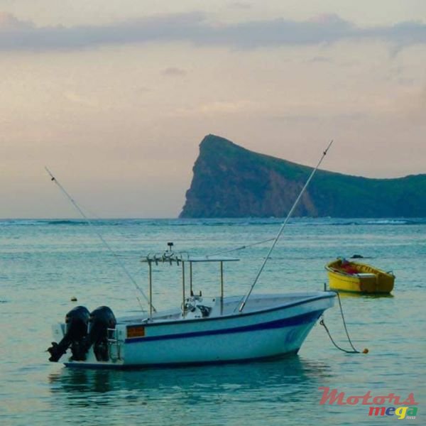 2014' Aquamarine photo #3