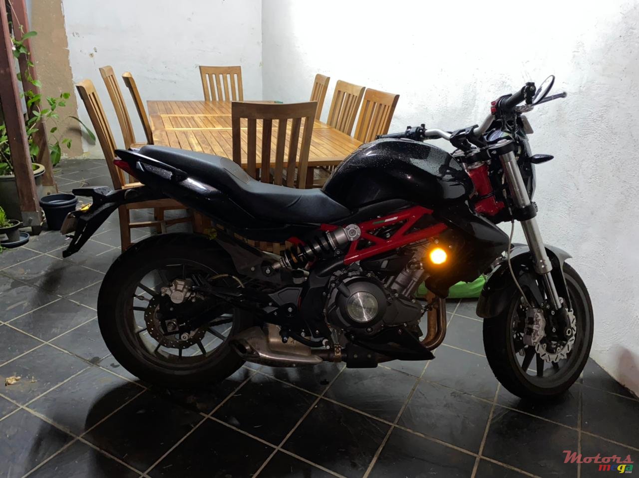 2019' Benelli photo #1