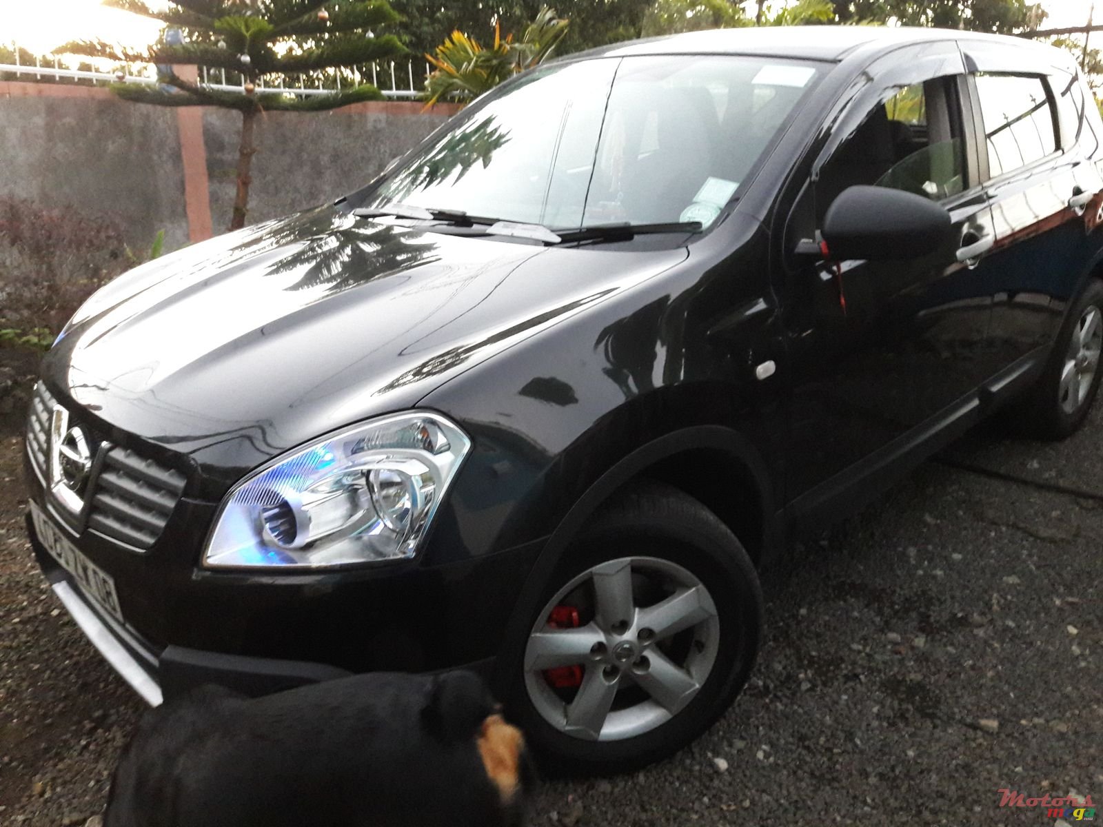 2008' Nissan Qashqai Original photo #3