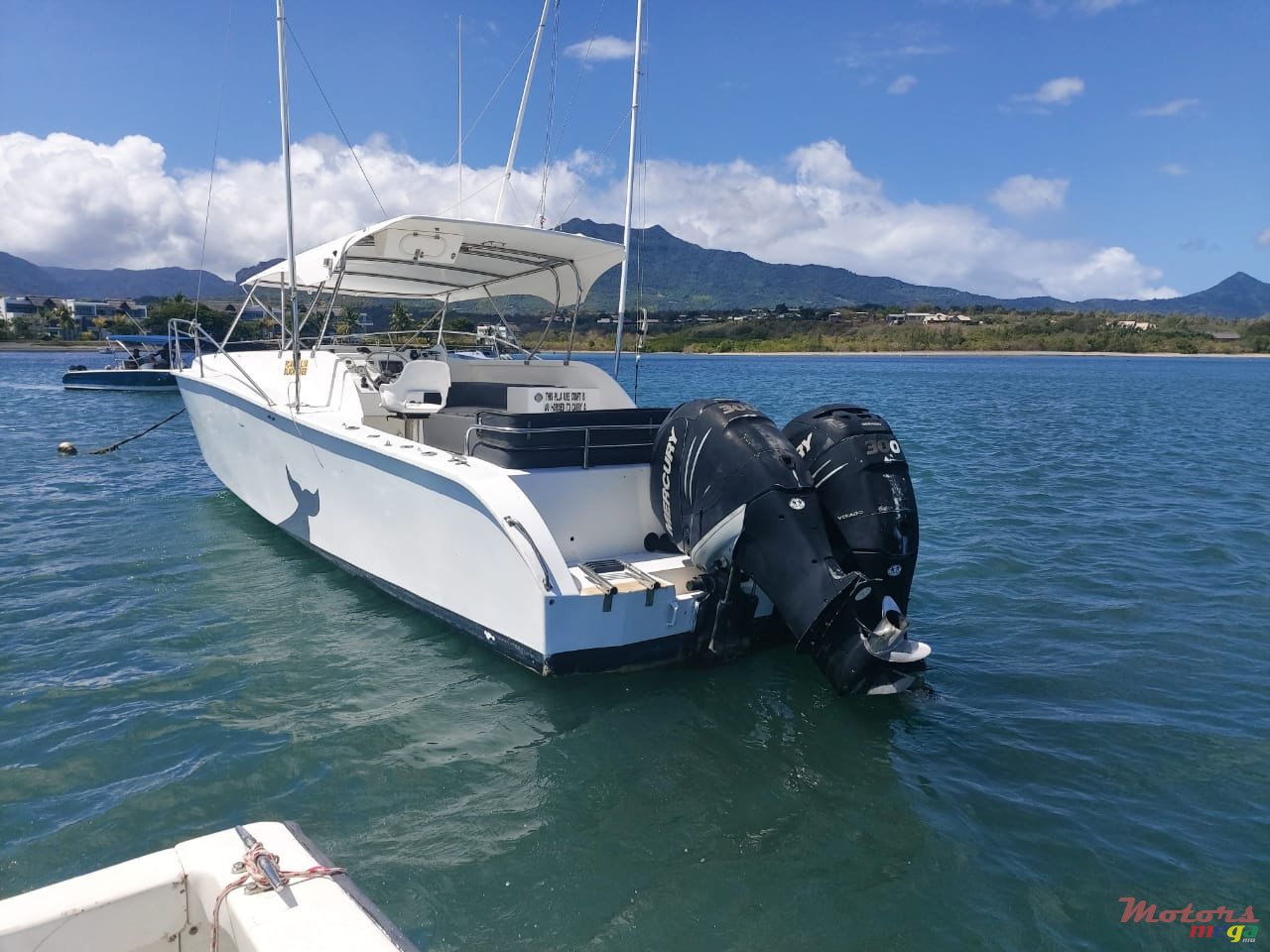 2008' Arrow photo #4