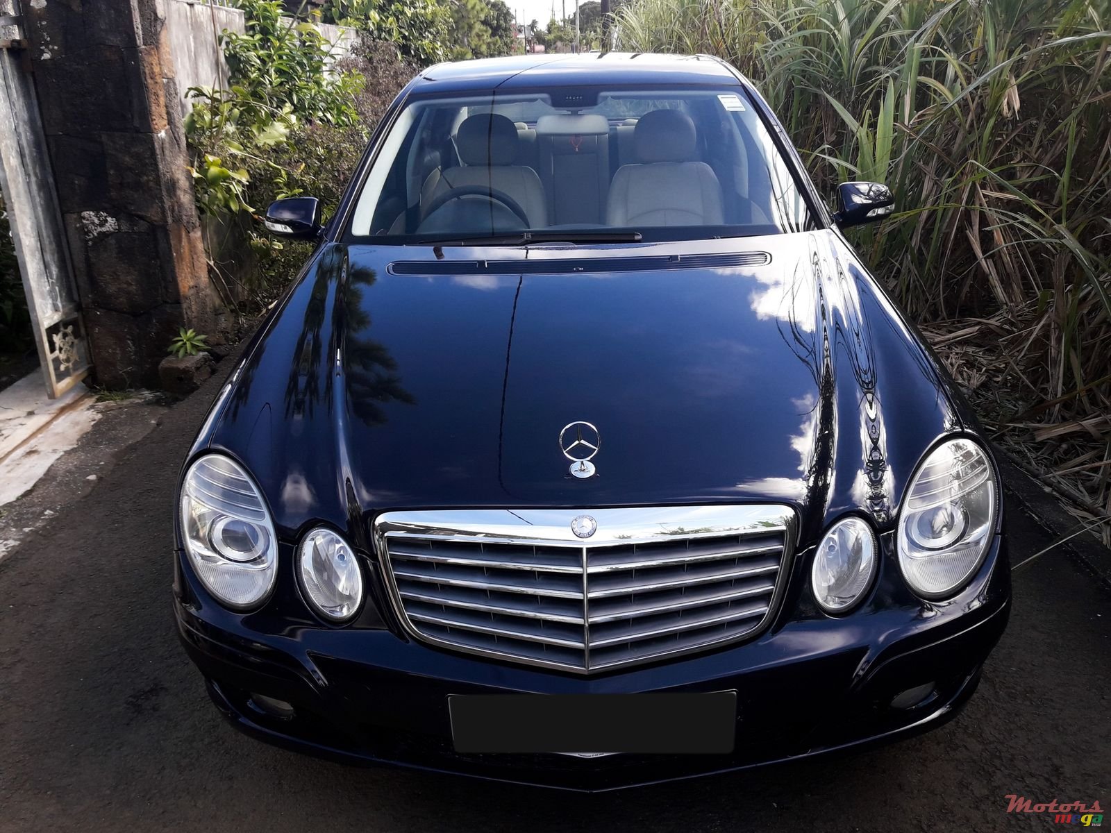 2009' Mercedes-Benz E-Class photo #1