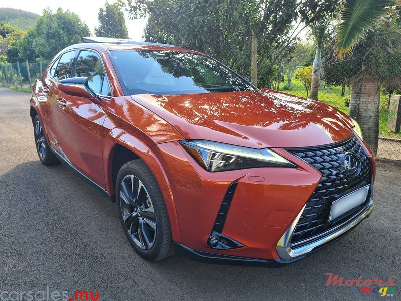 2021' Lexus UX 250h AWD photo #2