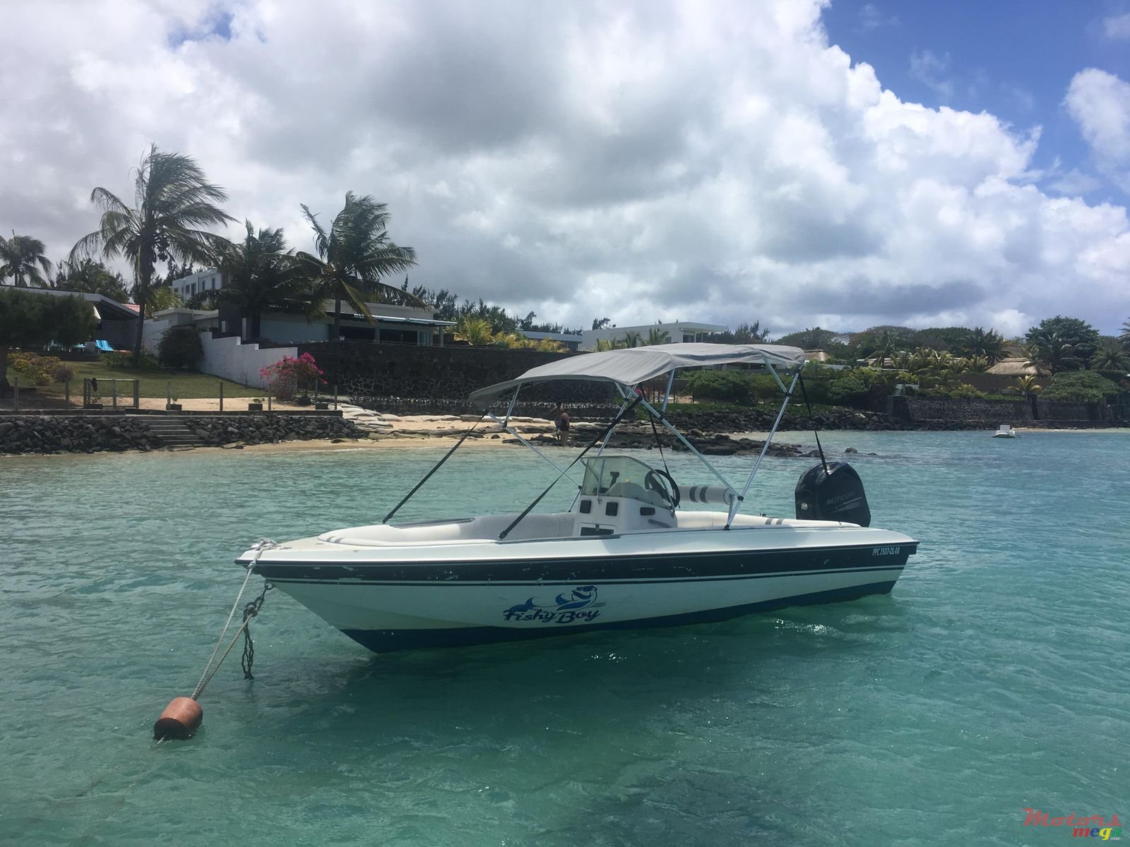 2012' Cobra photo #4