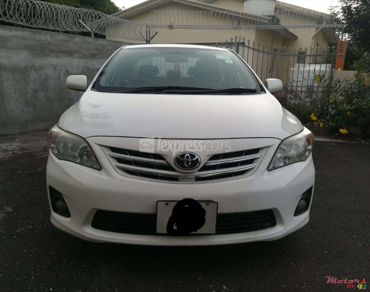 2011' Toyota Corolla photo #1