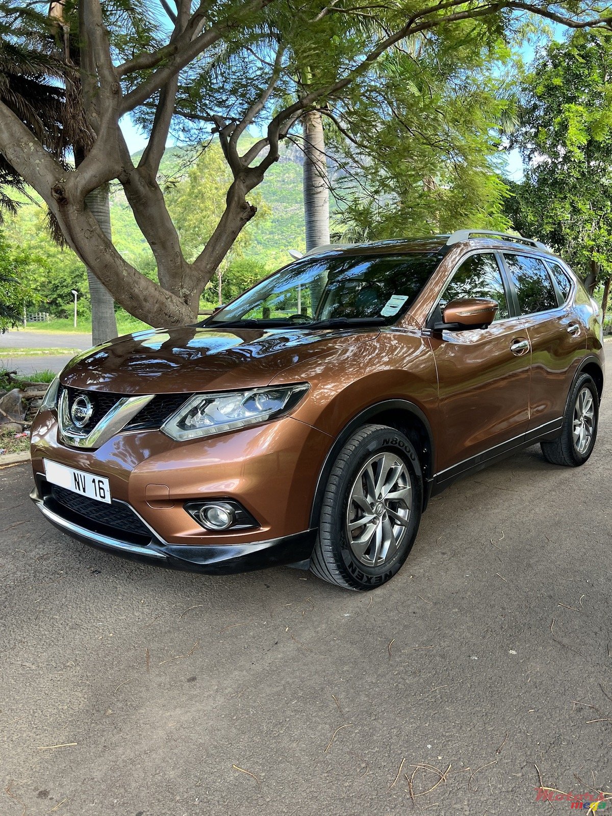 2016' Nissan X-Trail photo #4