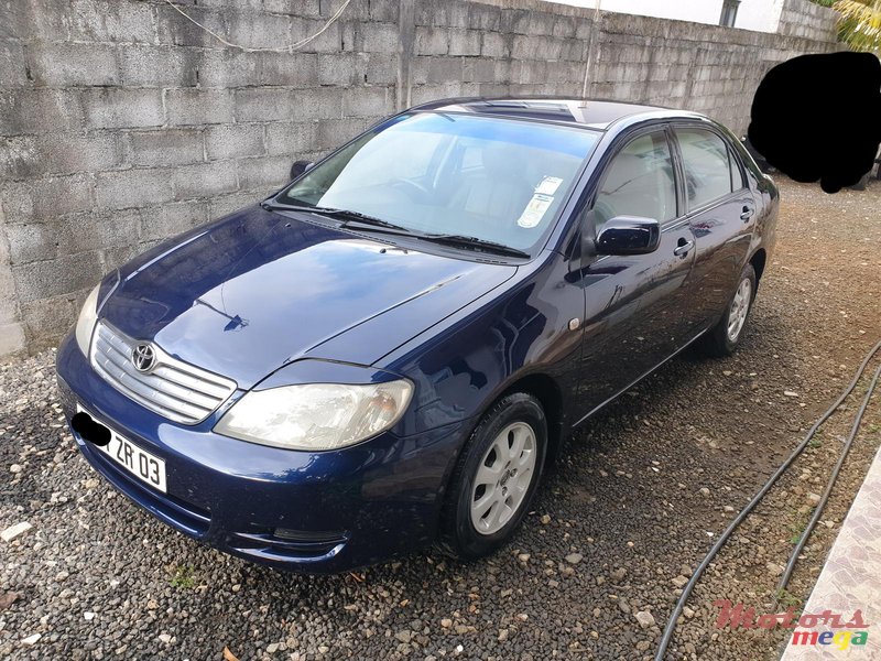 2003' Toyota Corolla NZE photo #2