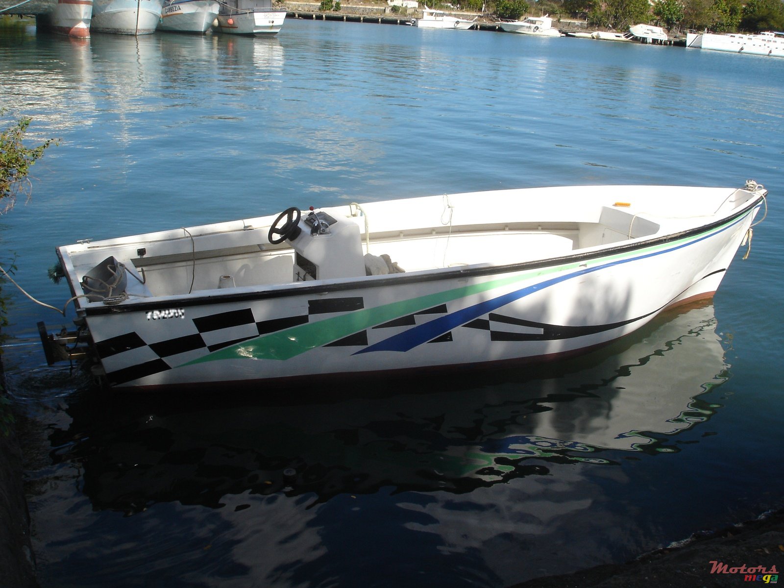 2003' Pelican photo #1