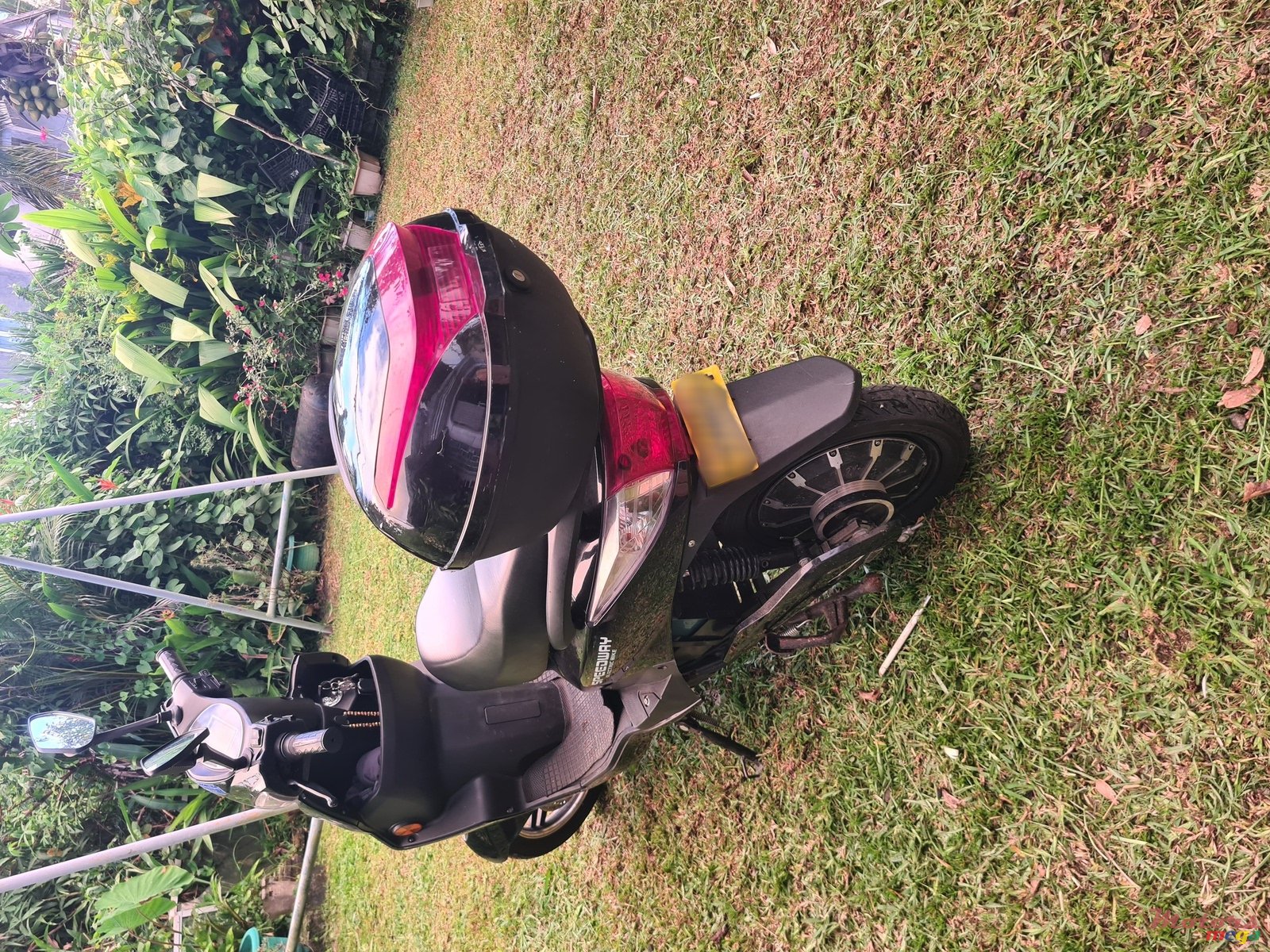 2023' Speed Shek photo #2