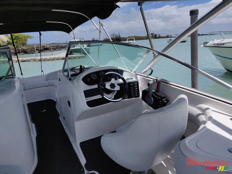 2014' Sunsation photo #5