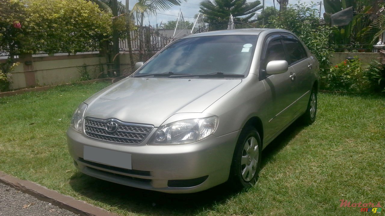2001' Toyota Corolla nze photo #1