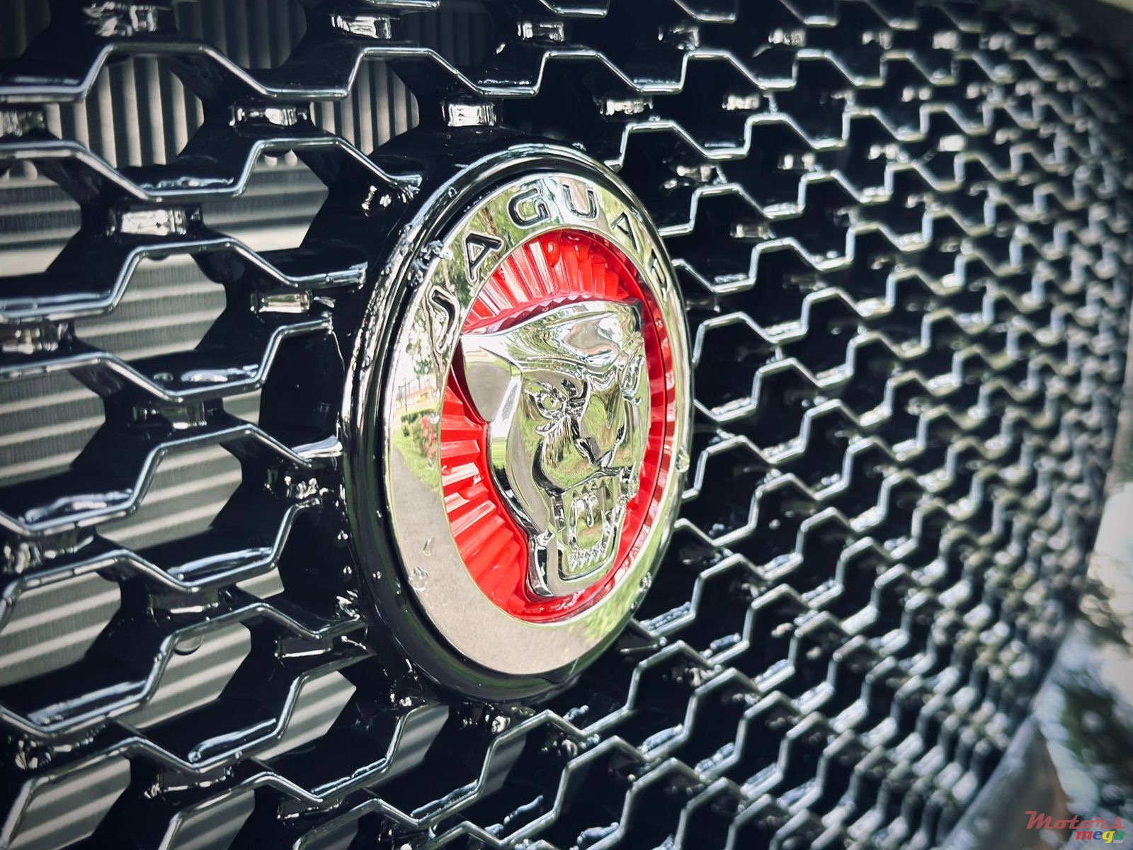 2016' Jaguar F-Pace photo #7