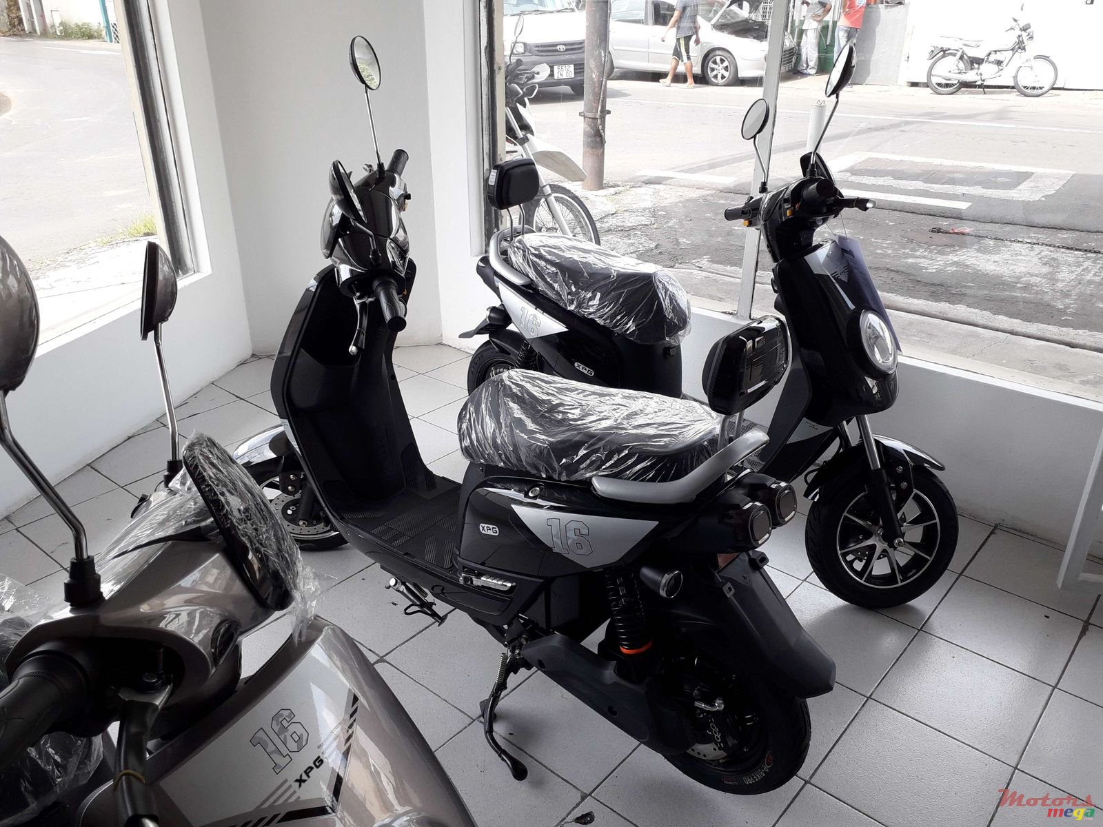 2019' Eco-Extreme photo #2