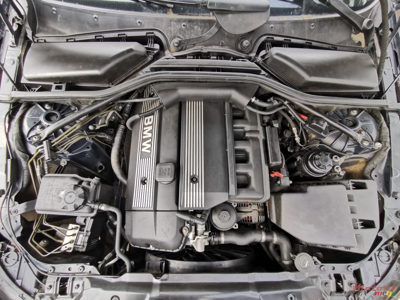 2004' BMW 5 Series photo #7