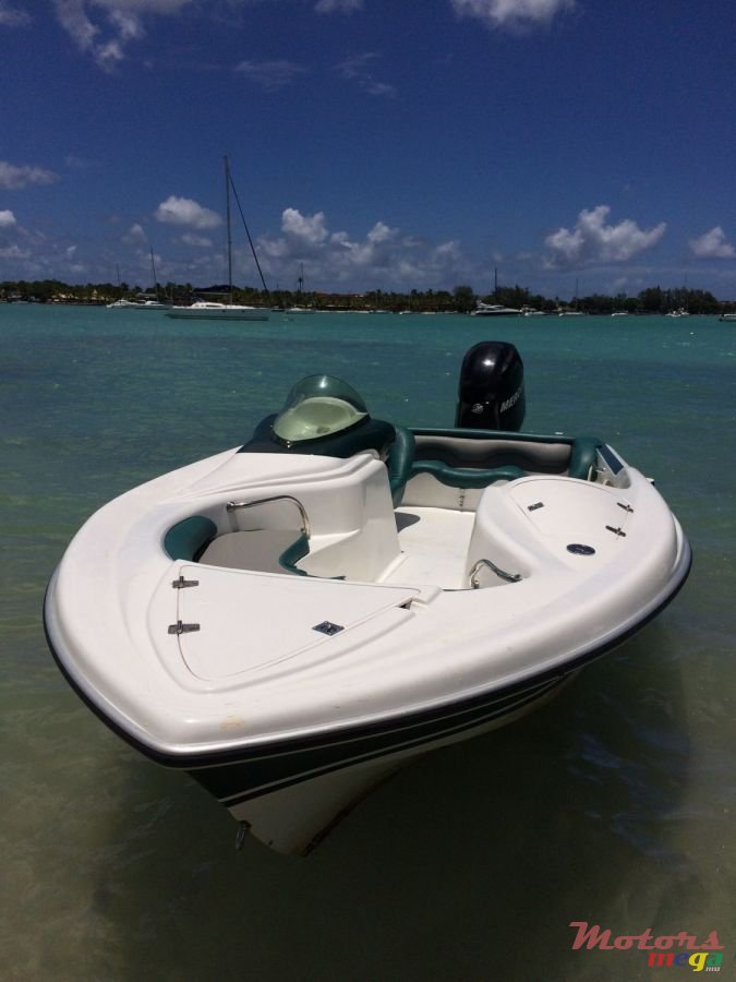 2009' Cobra photo #3