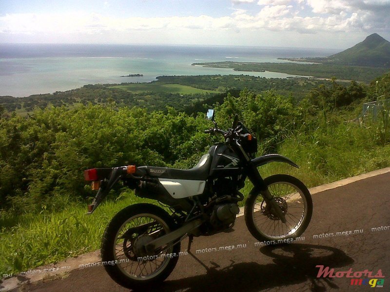 2008' Suzuki photo #2