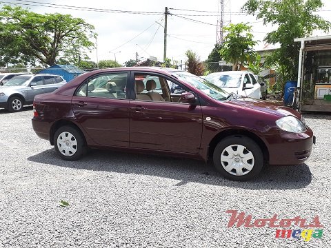 2004' Toyota Corolla NZE photo #3