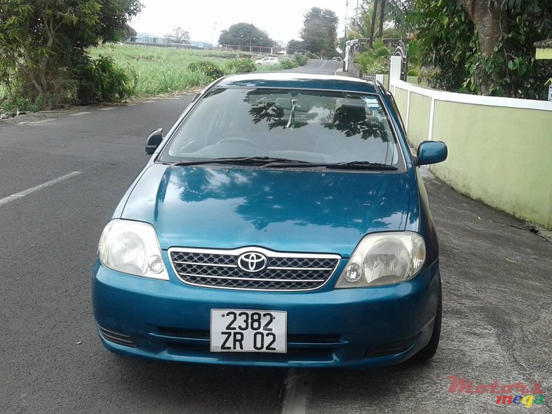 2002' Toyota Corolla photo #1