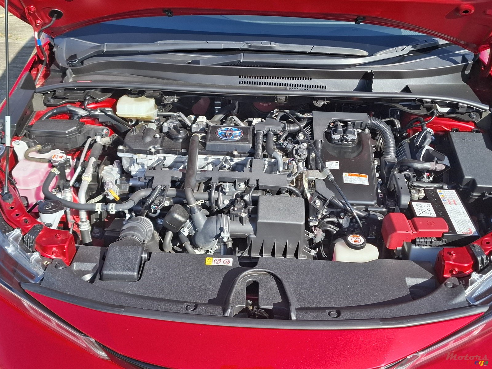 2021' Toyota Corolla photo #6