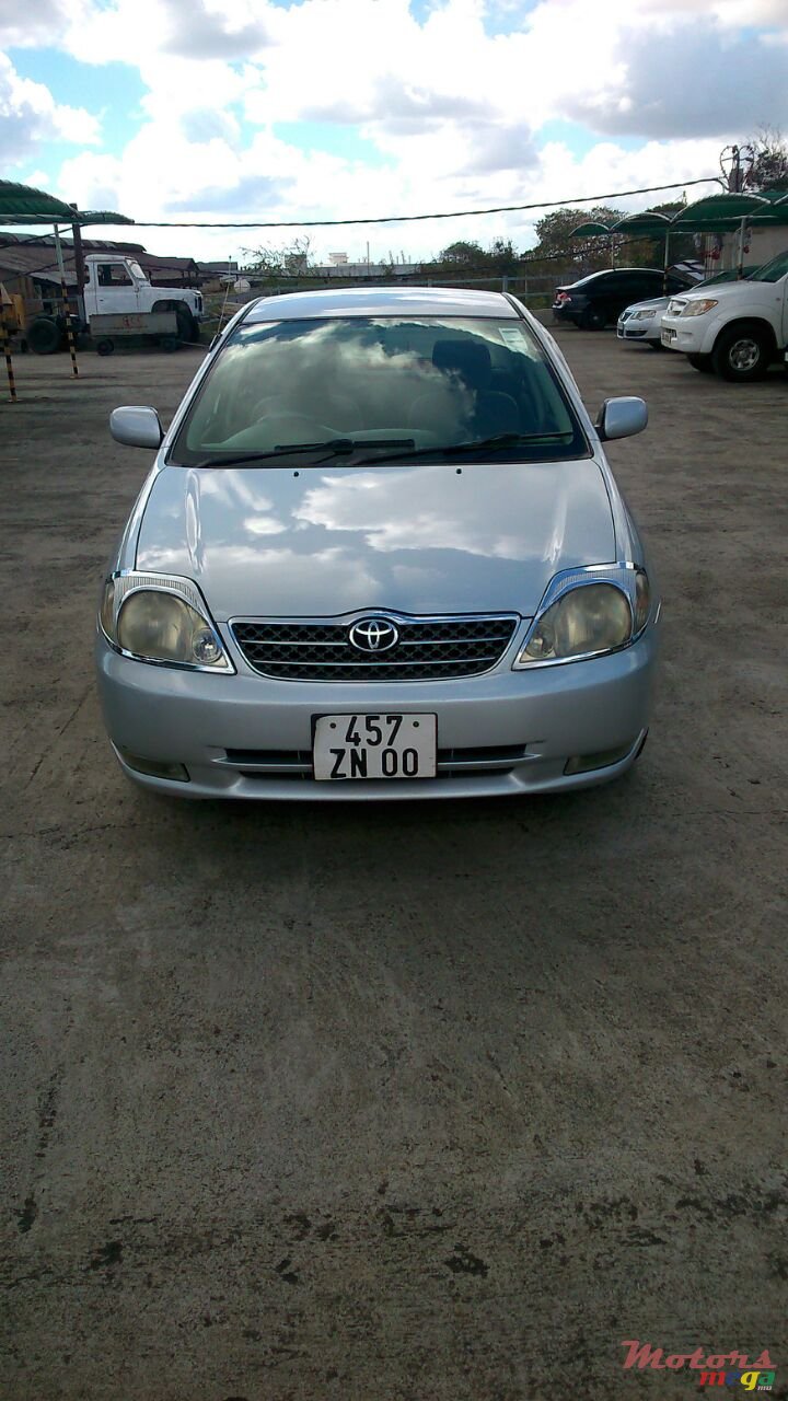 2000' Nissan photo #1