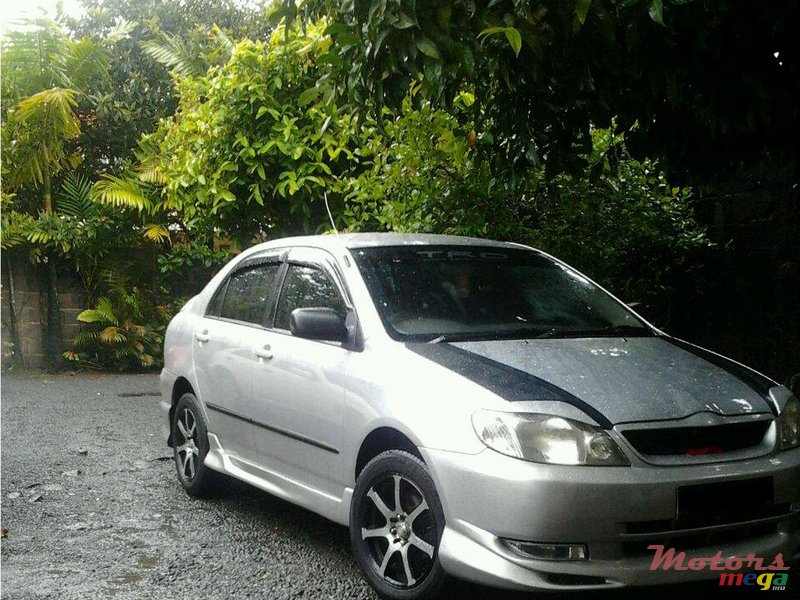 2002' Toyota Corolla Nze photo #1