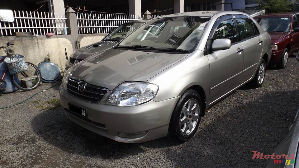2002' Toyota Corolla NZE photo #2