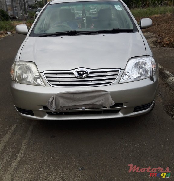 2003' Toyota Corolla NZE photo #1