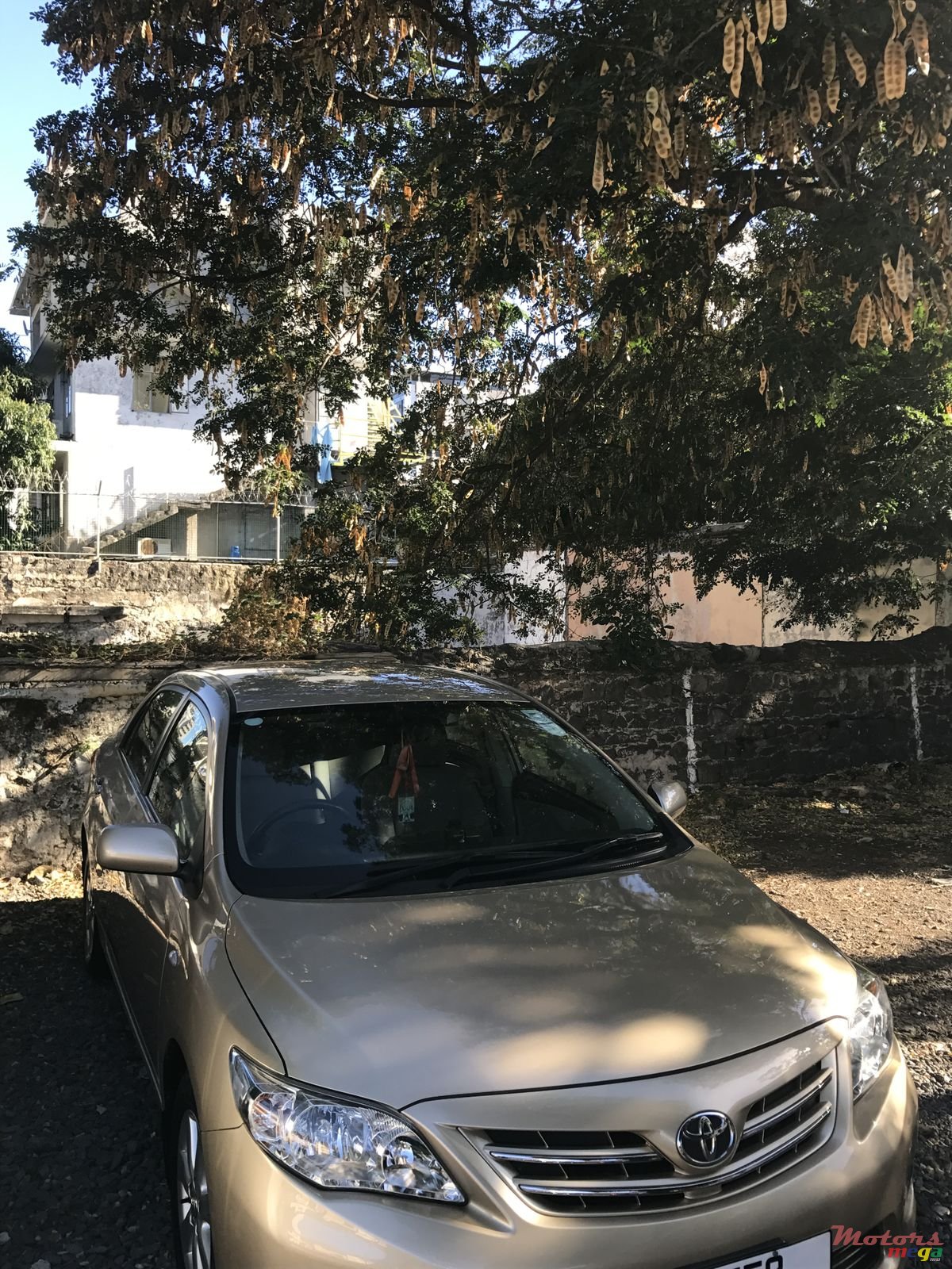 2011' Toyota Corolla photo #2