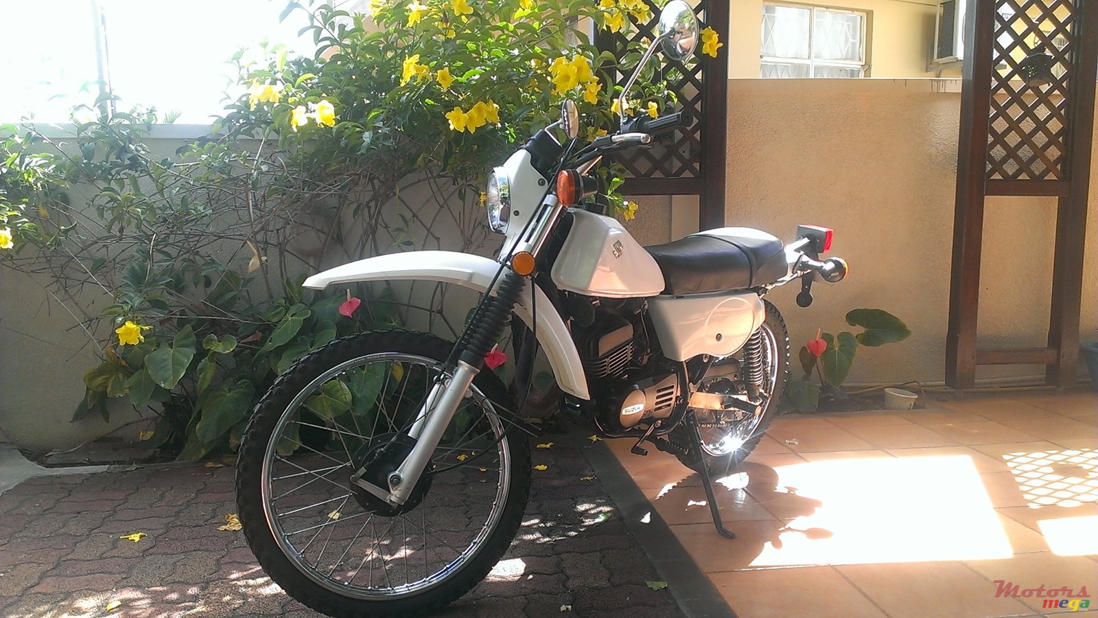 2010' Suzuki photo #1