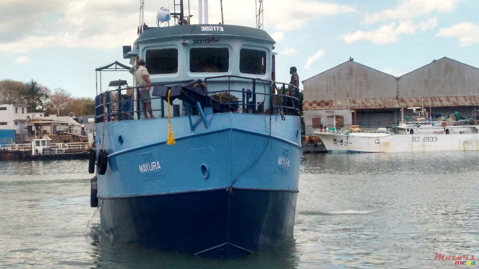 2014' Absolute 2014 photo #5