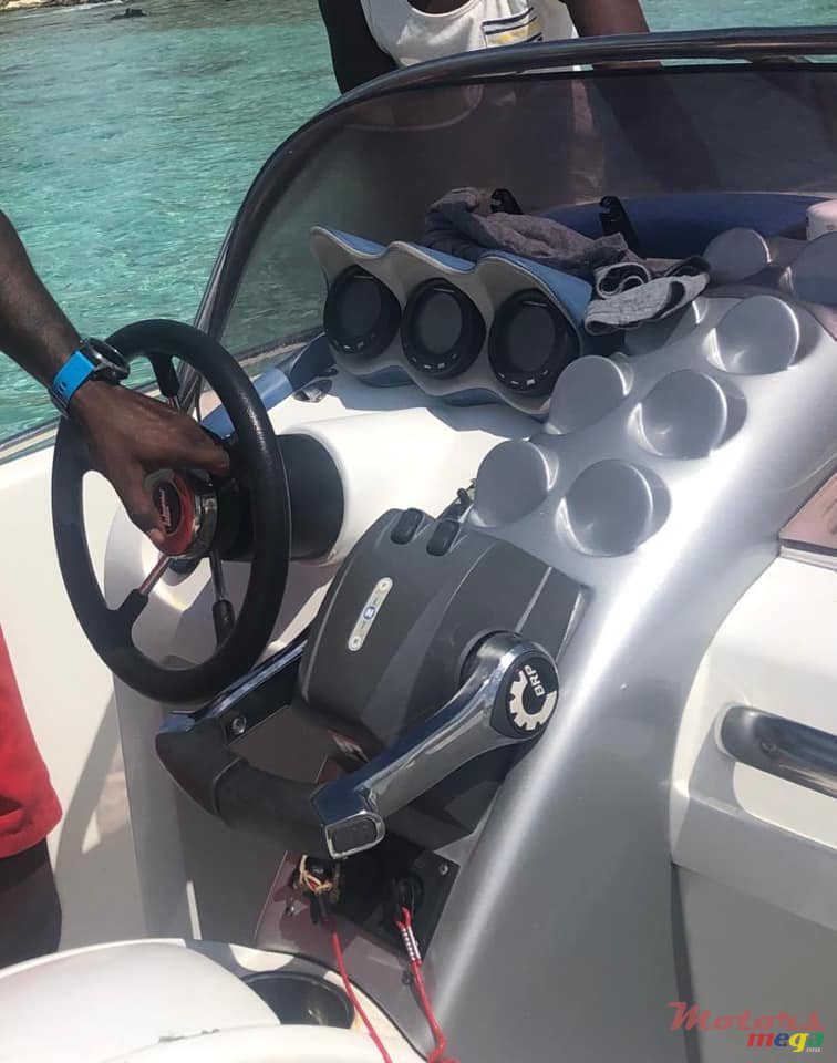 2010' Cobra photo #6