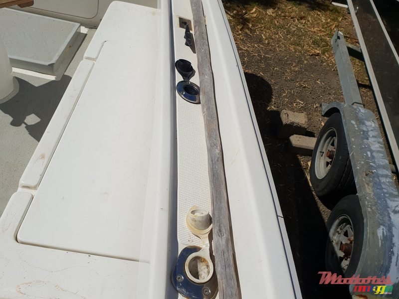 2012' Big Fisher photo #2