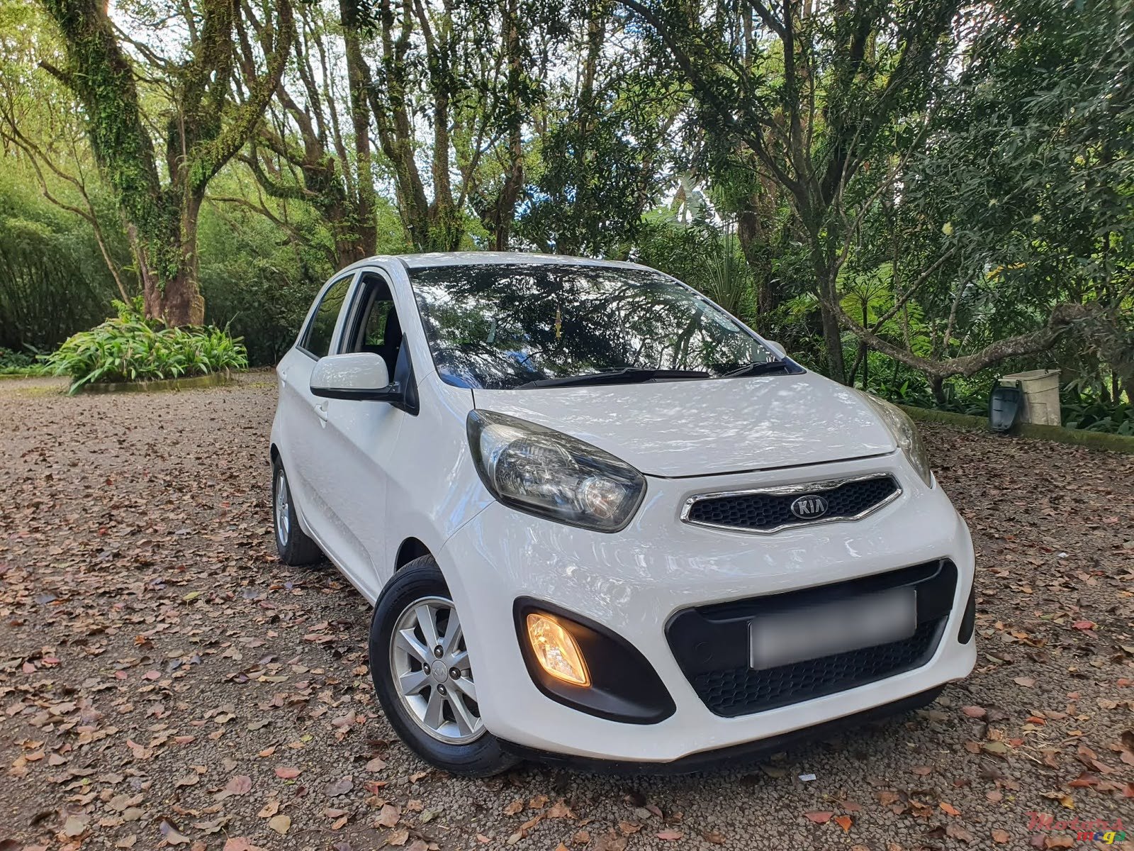2014' Kia Picanto photo #1