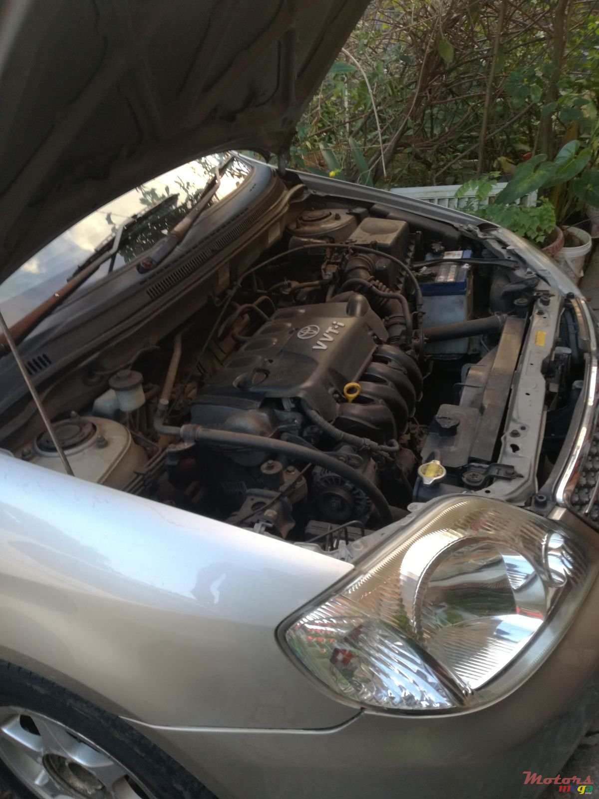 2002' Toyota Corolla photo #7