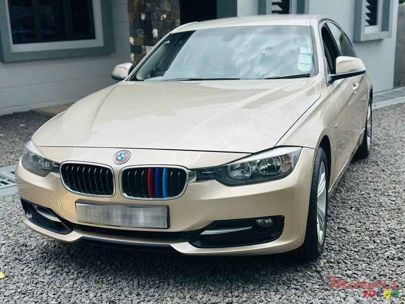 2014' BMW 316 photo #4