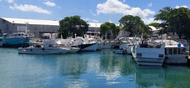 TVA de 15% imposée : Les petits plaisanciers dans la tourmente
