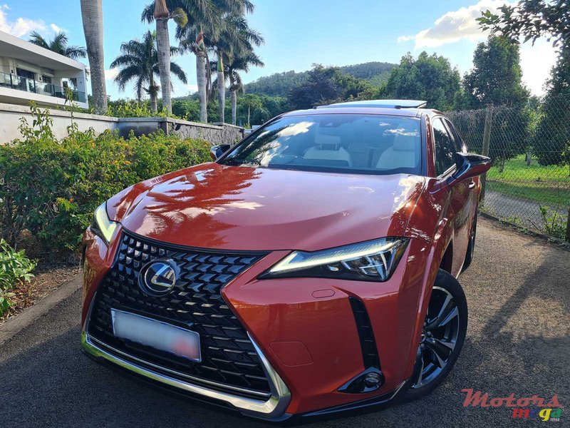 2021' Lexus UX 250h AWD photo #1