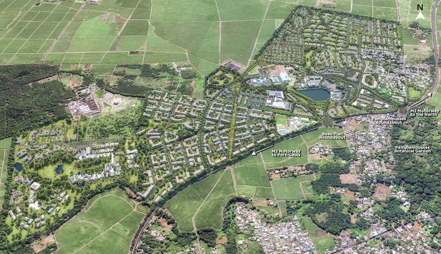 Beau Plan : une nouvelle route accompagnée de plantations de Tiny Forest