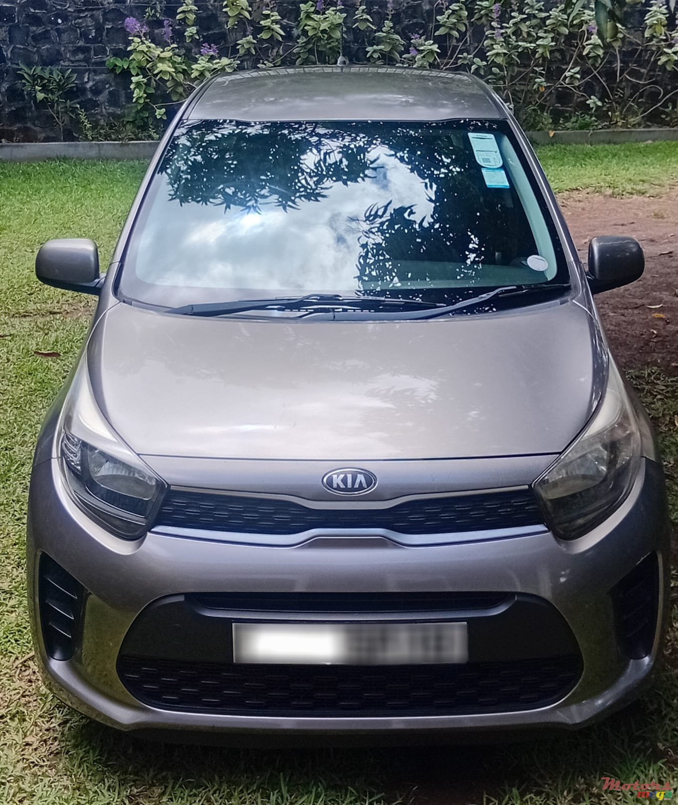 2018' Kia Picanto photo #7