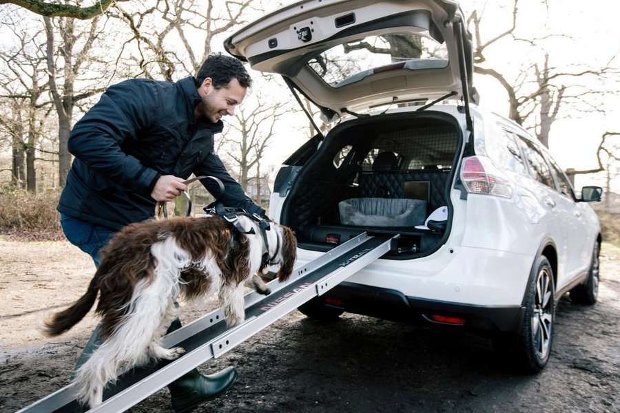 Nissan's latest X-trail concept is dog gone useful for pet owners