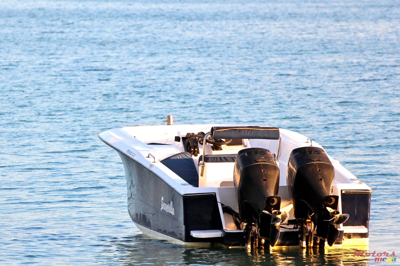 1998' Legend 22ft photo #2