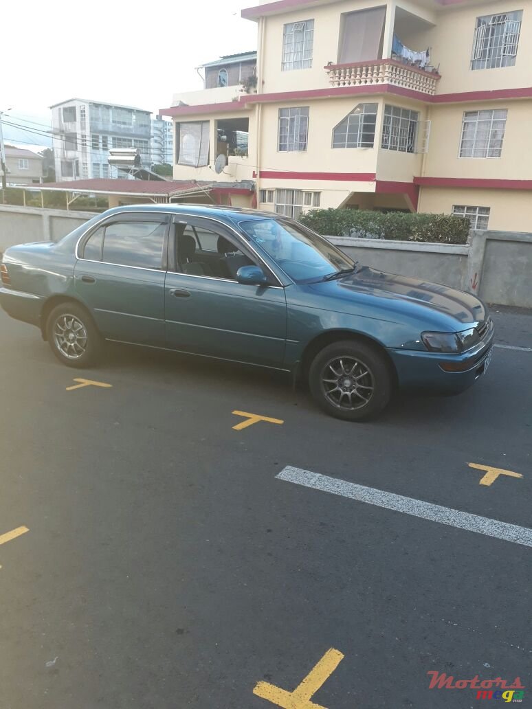 1995' Toyota Corolla photo #1