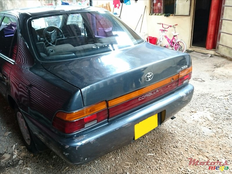 1992' Toyota Corolla EE101 photo #2