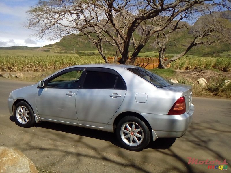 2001' Toyota Corolla photo #2