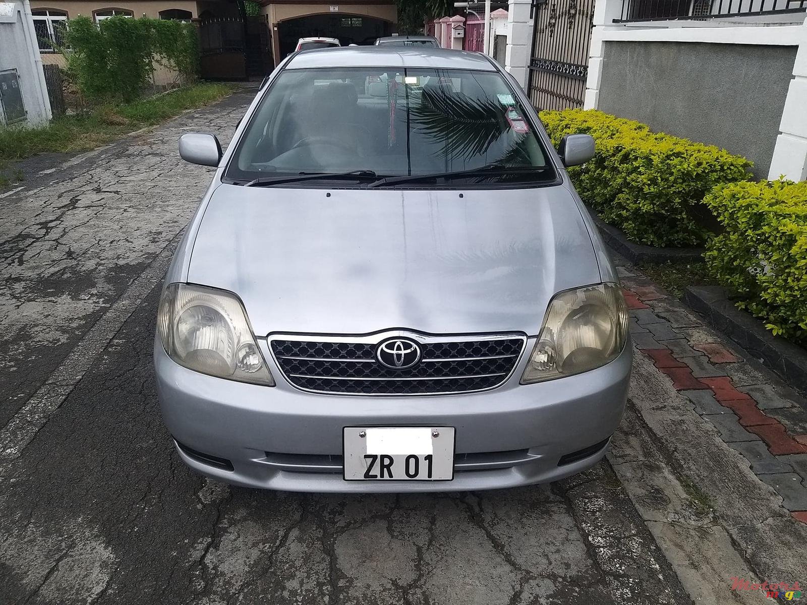 2001' Toyota Corolla NZE photo #2