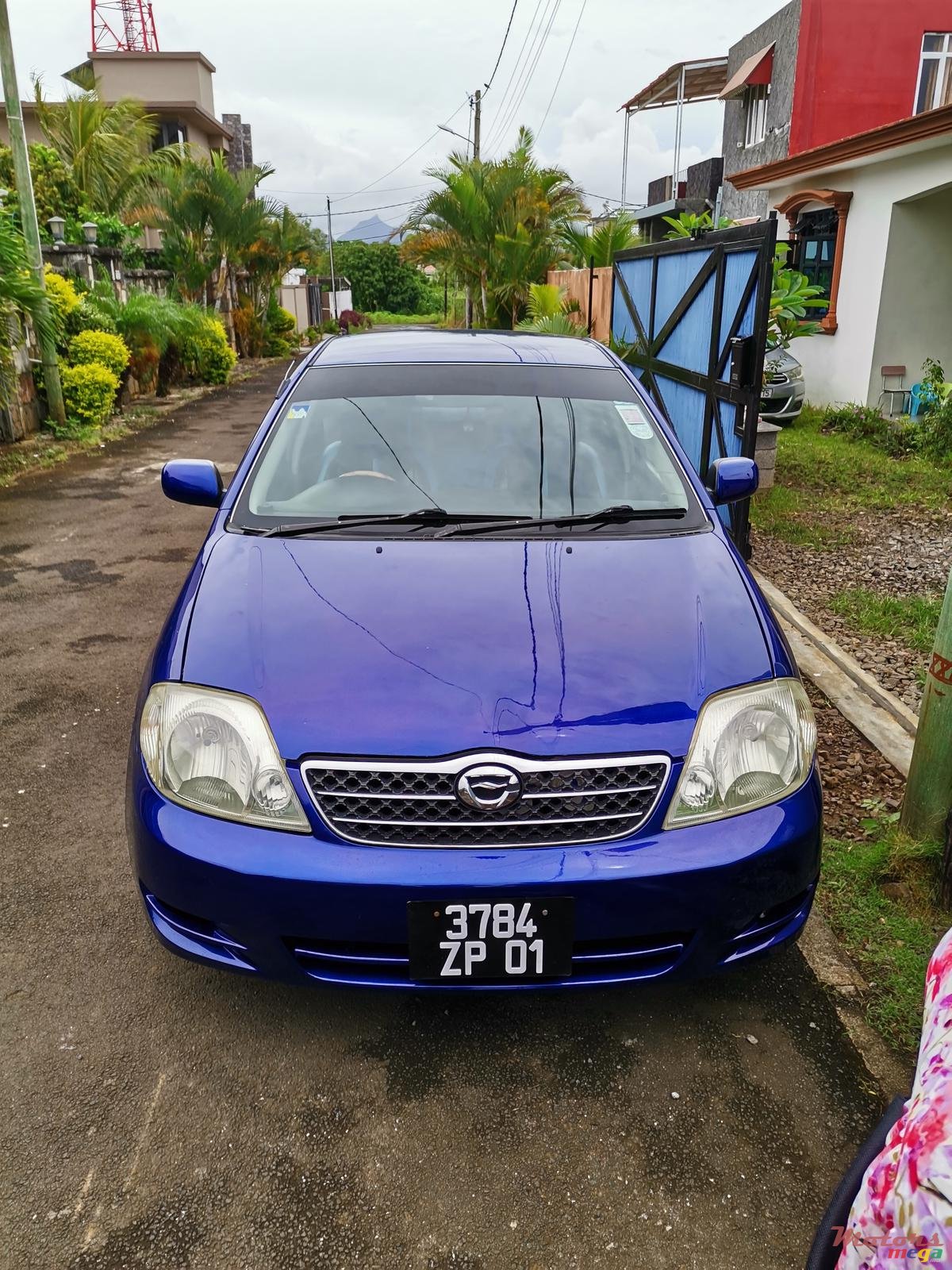 2001' Toyota Corolla 1NZ141 photo #2