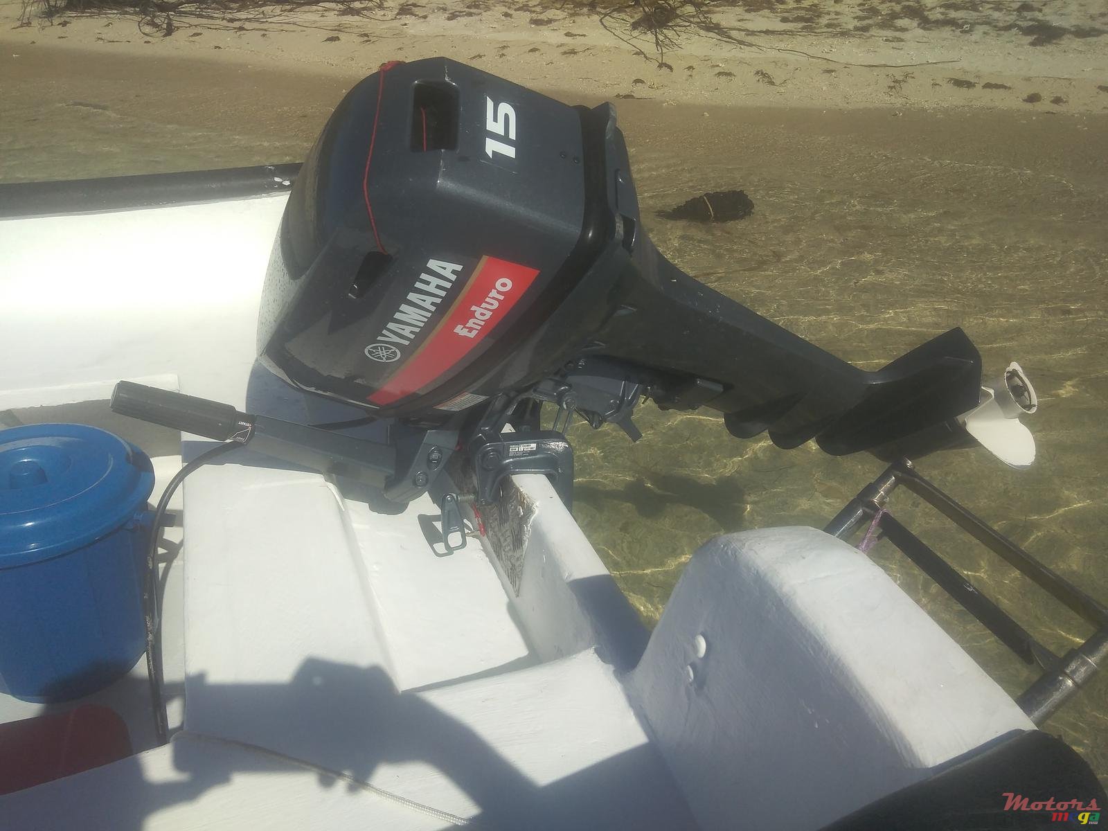 2005' Tremlett photo #2