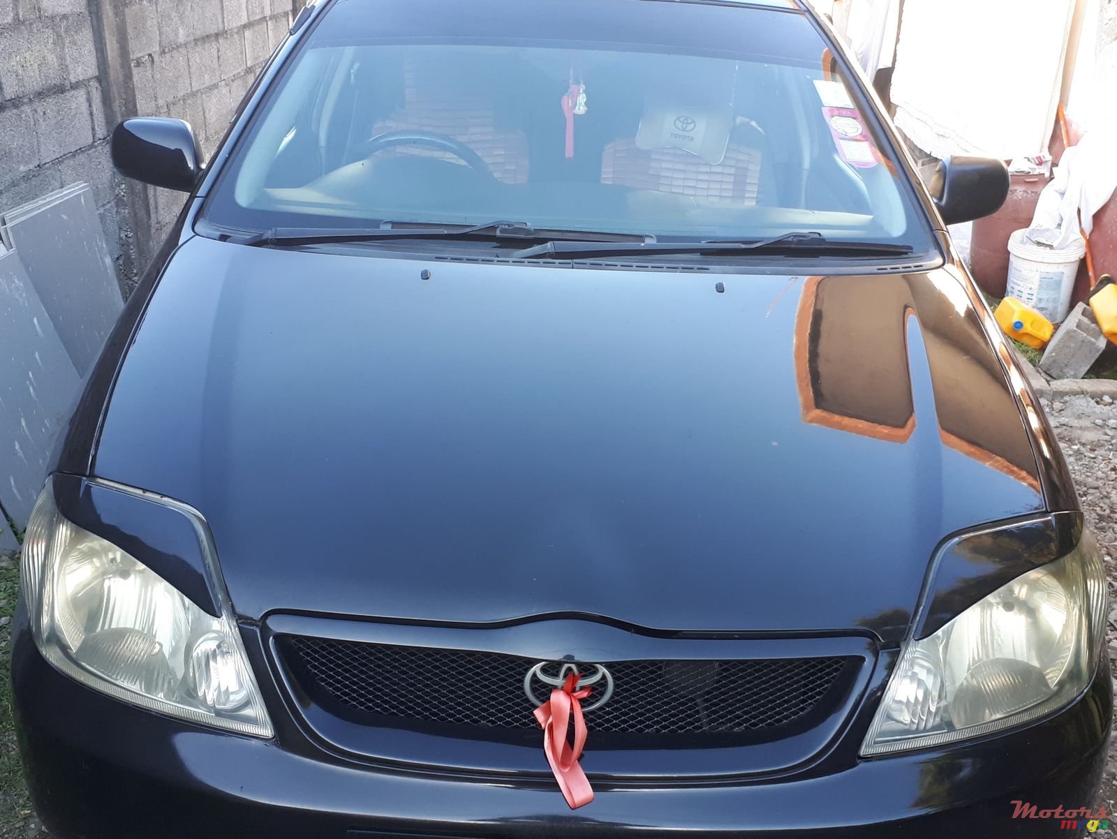 2002' Toyota Corolla NZE photo #1